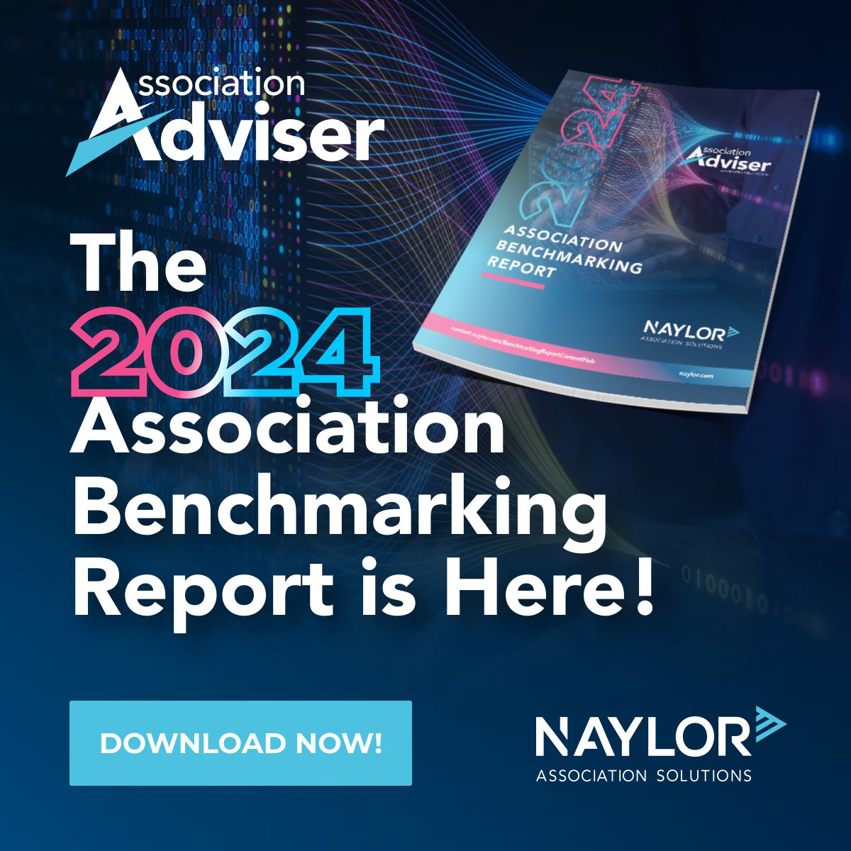 Association Benchmarking Report